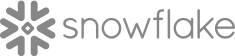Snowflake_Logo.svg (1)